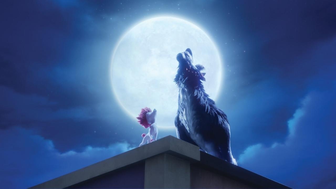 Cena do filme 100% Lobo