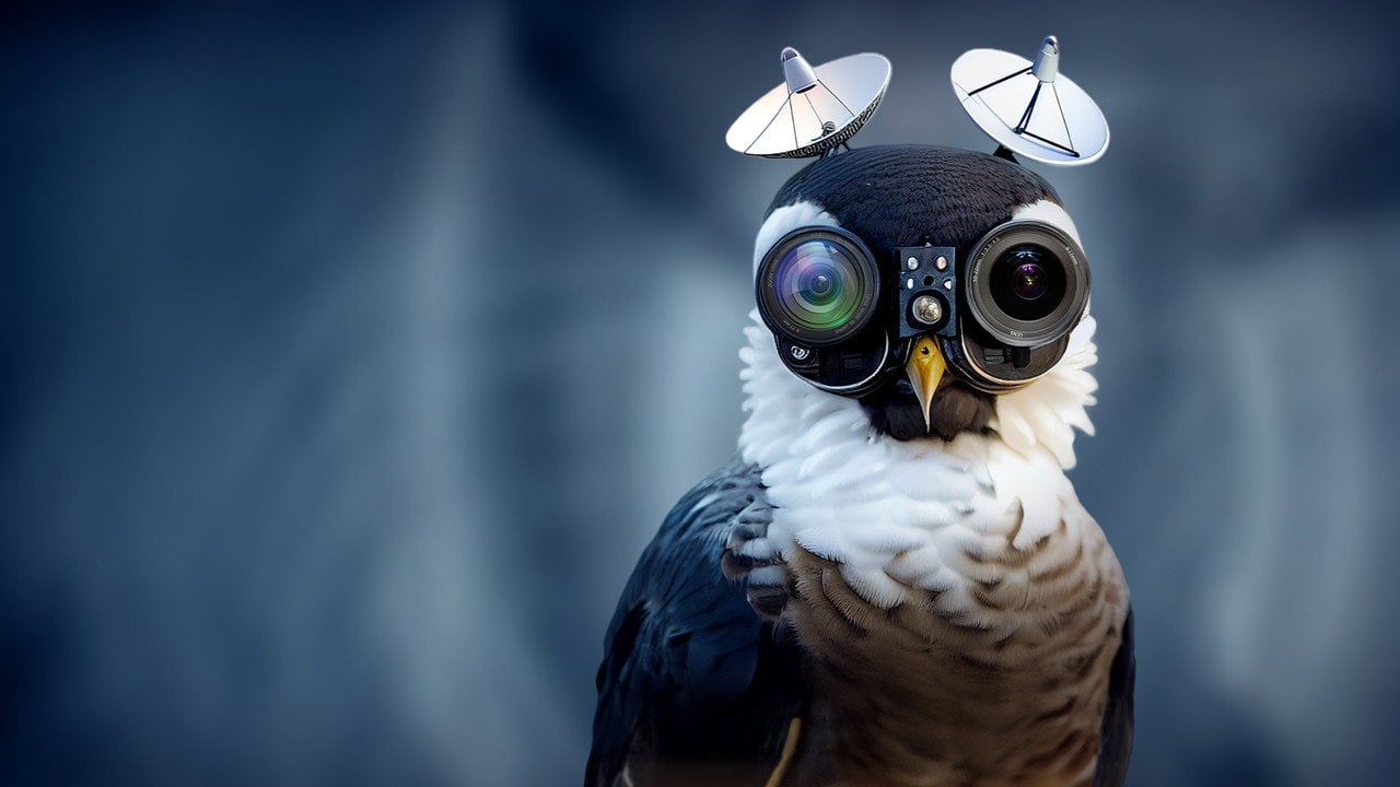 Cena do filme Birds Are Fake: The Conspiracy