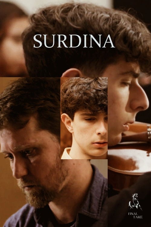 Poster do filme Surdina