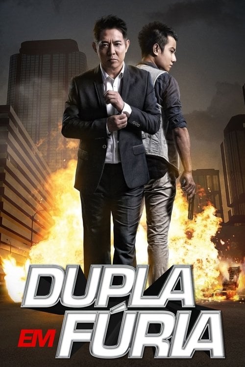 Poster do filme Dupla em Fúria