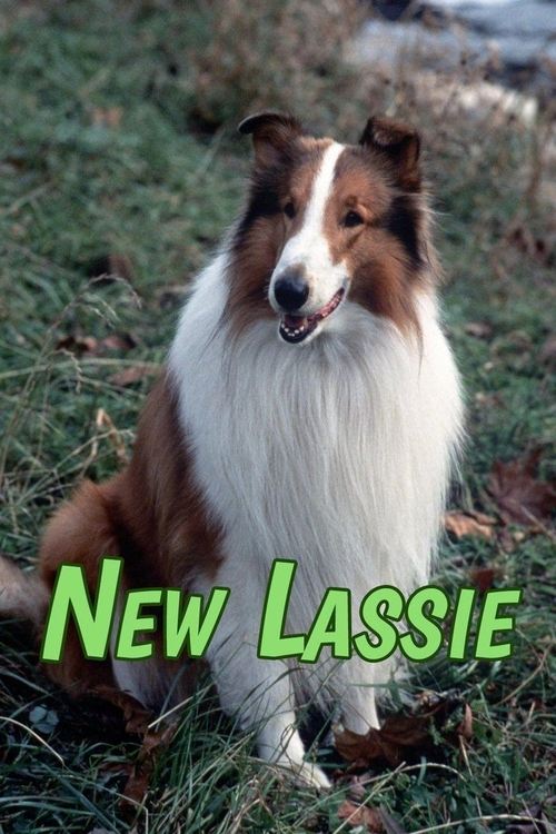 Poster de As Novas Aventuras de Lassie