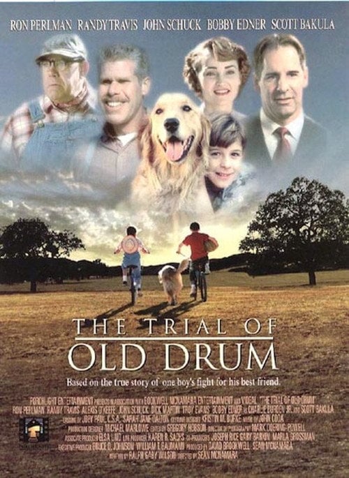 Poster do filme Meu Amigo Drum
