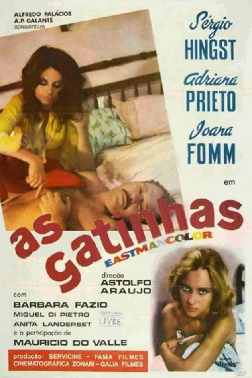 Poster do filme As Gatinhas