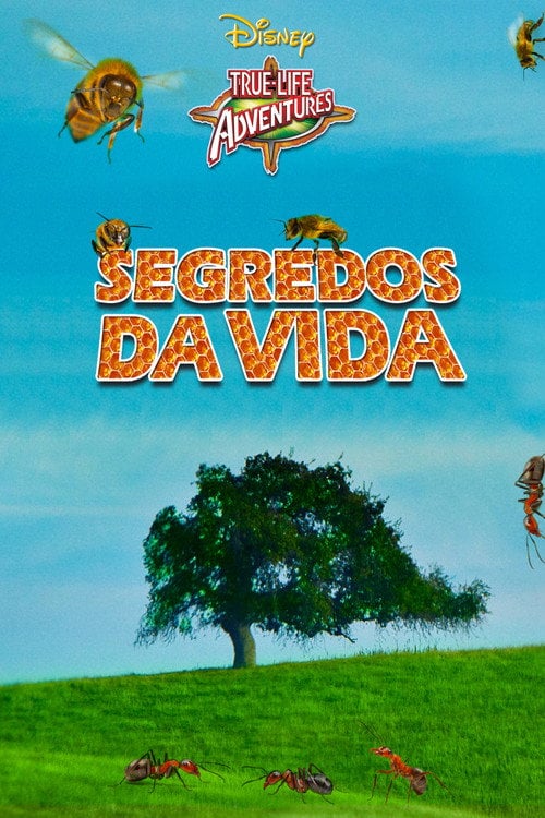 Poster do filme Segredos da Vida