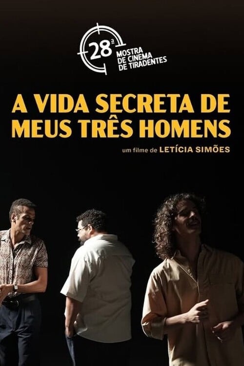 Poster do filme A Vida Secreta de Meus Três Homens