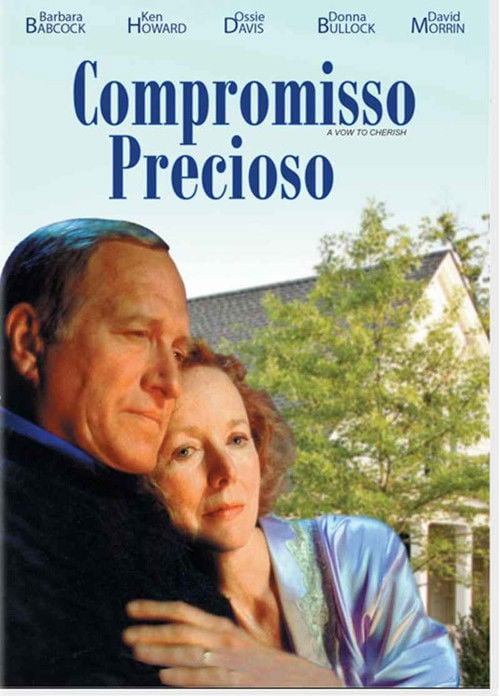 Poster do filme Compromisso Precioso