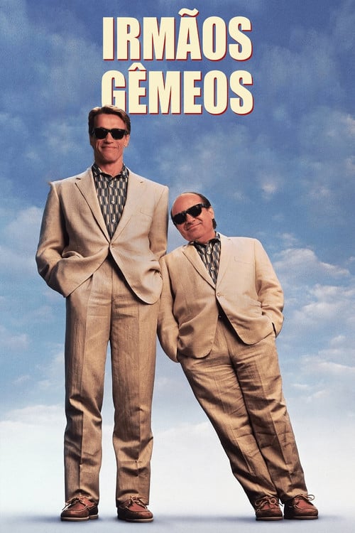 Poster do filme Irmãos Gêmeos