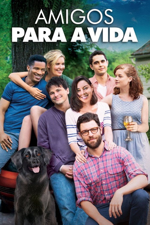 Poster do filme Amigos Para a Vida