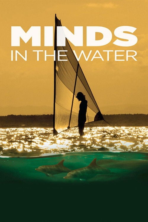 Poster do filme Minds in the Water