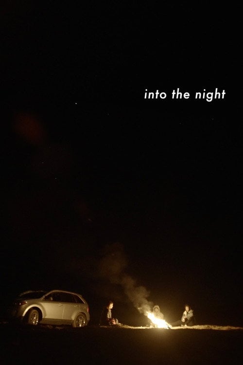 Poster do filme Into the Night